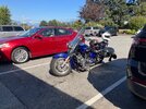 IMG_2851.jpeg