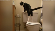1790160176014.png