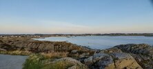 IMG_5020.jpeg