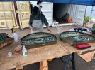 IMG_1377.jpeg