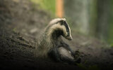 IMG_5041.jpeg