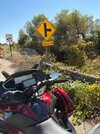 IMG_0040.jpeg