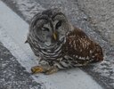 DSC_4541.JPG DSC_4541.JPG