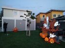 IMG_20261009_183204.jpg