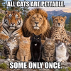 1792222478747.png