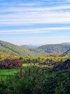IMG_20261017_175416_031.jpg
