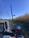 IMG_5940.jpeg