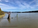 IMG_3139.jpeg