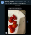 1792684596862.png