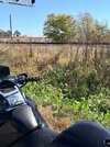 IMG_1064.jpeg
