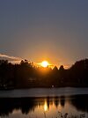 IMG_1212.jpeg