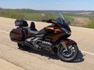 IMG_2218D.jpeg