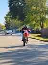 Wheelie 1.jpg