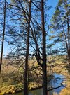 IMG_20261025_145123.jpg