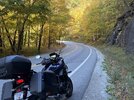 IMG_2982.JPEG