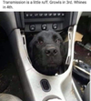 1793401728393.png