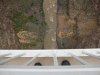 IMG_1532 copy.jpg