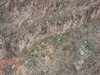 IMG_1537 copy.jpg