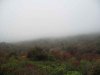 BRP Graveyard Fields 07 951.jpg