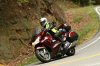 Dragon IMG_2363.jpg