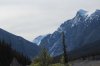 IMG_2487.jpg