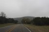 Hill Country 3_08 365 (Medium).jpg