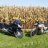 cornSTalk