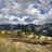 MtnhighCO