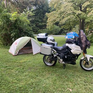 Lush campground with a lot amenities