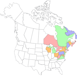 PNG image 2.png
