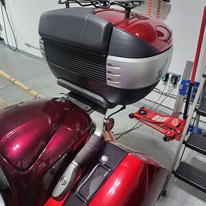 Smuggler-Shad SH50