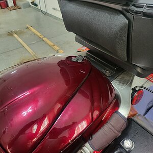 Smuggler-Shad SH58x