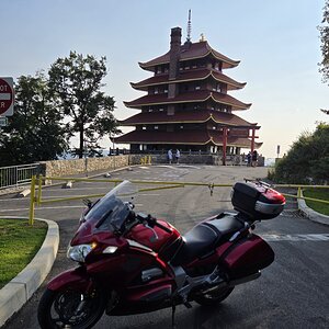 PA Tag 5
