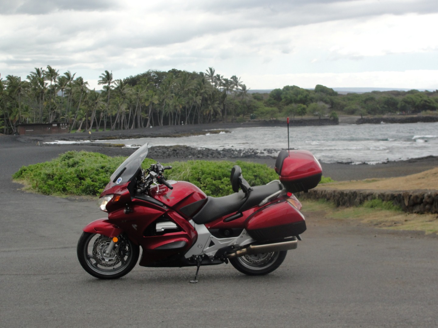 DSC02082 (Large).JPG