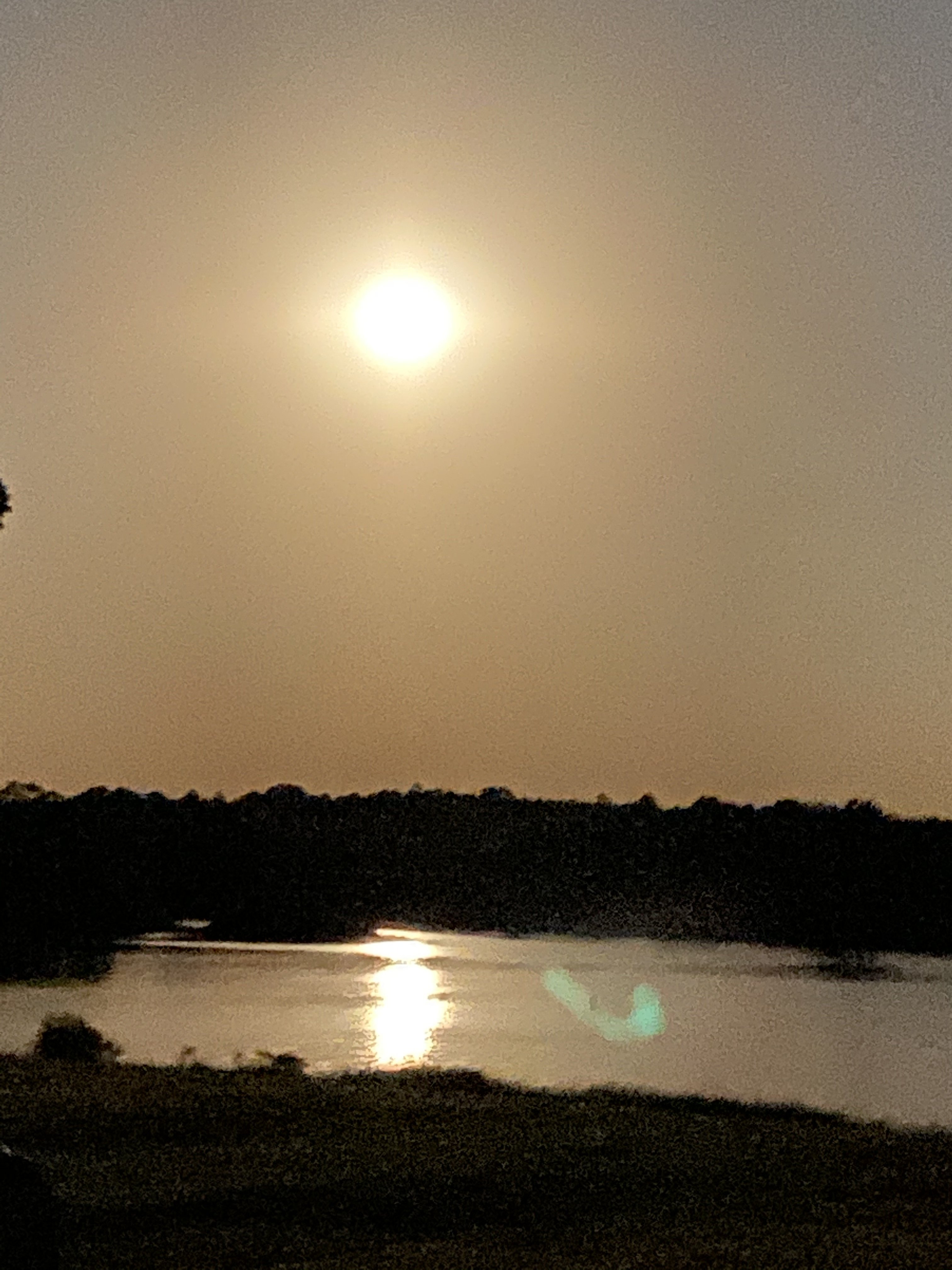 Full moon rising