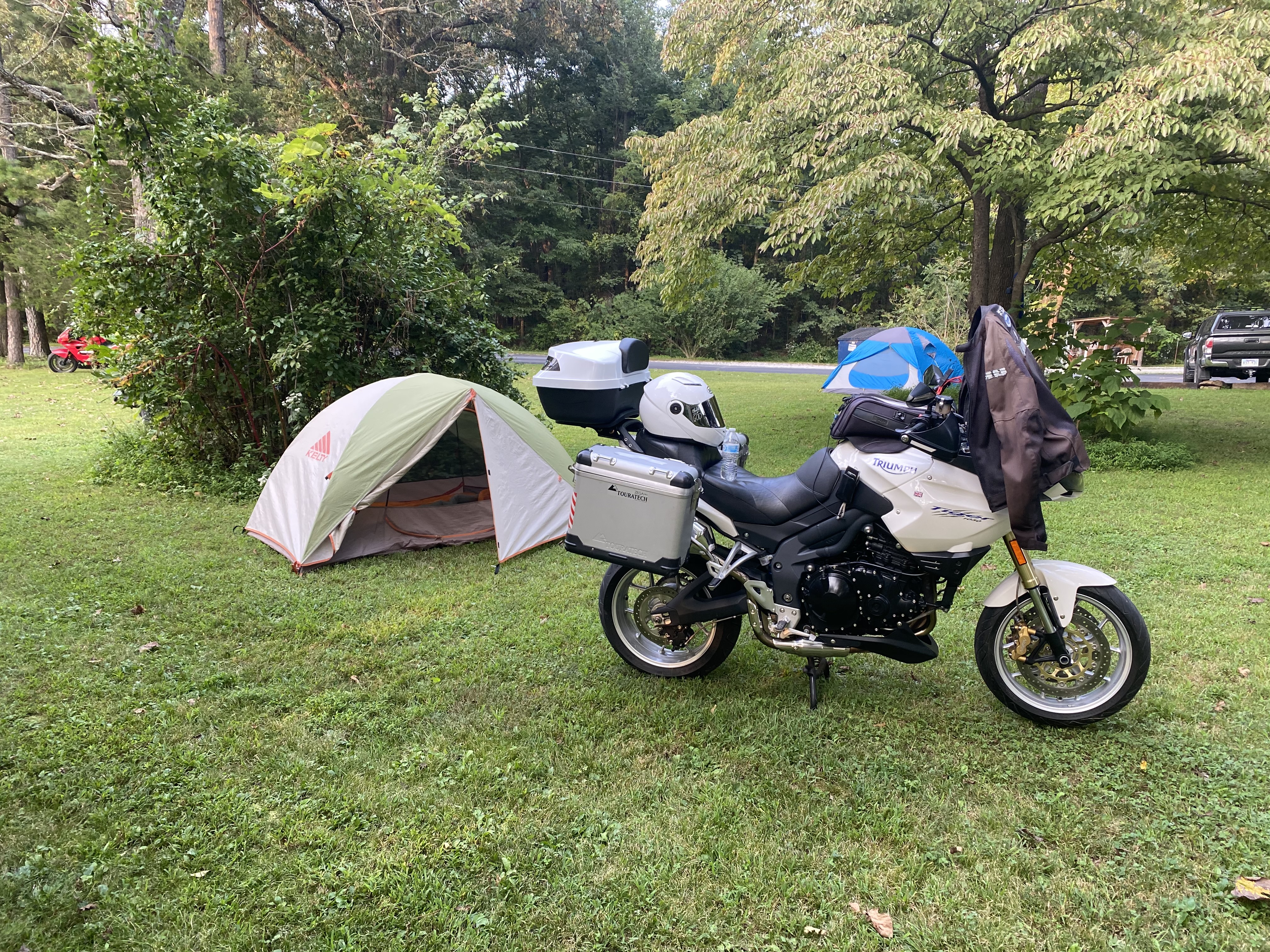 Lush campground with a lot amenities