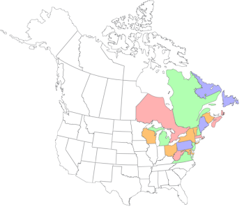 PNG image 2.png