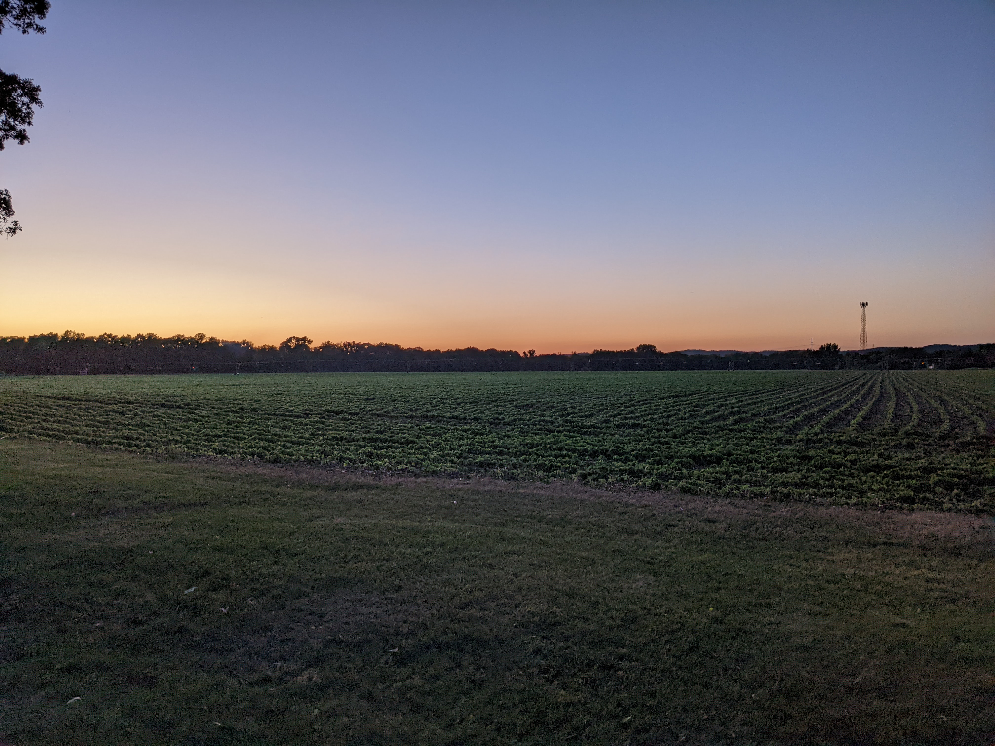 PXL_20220617_021005569.jpg