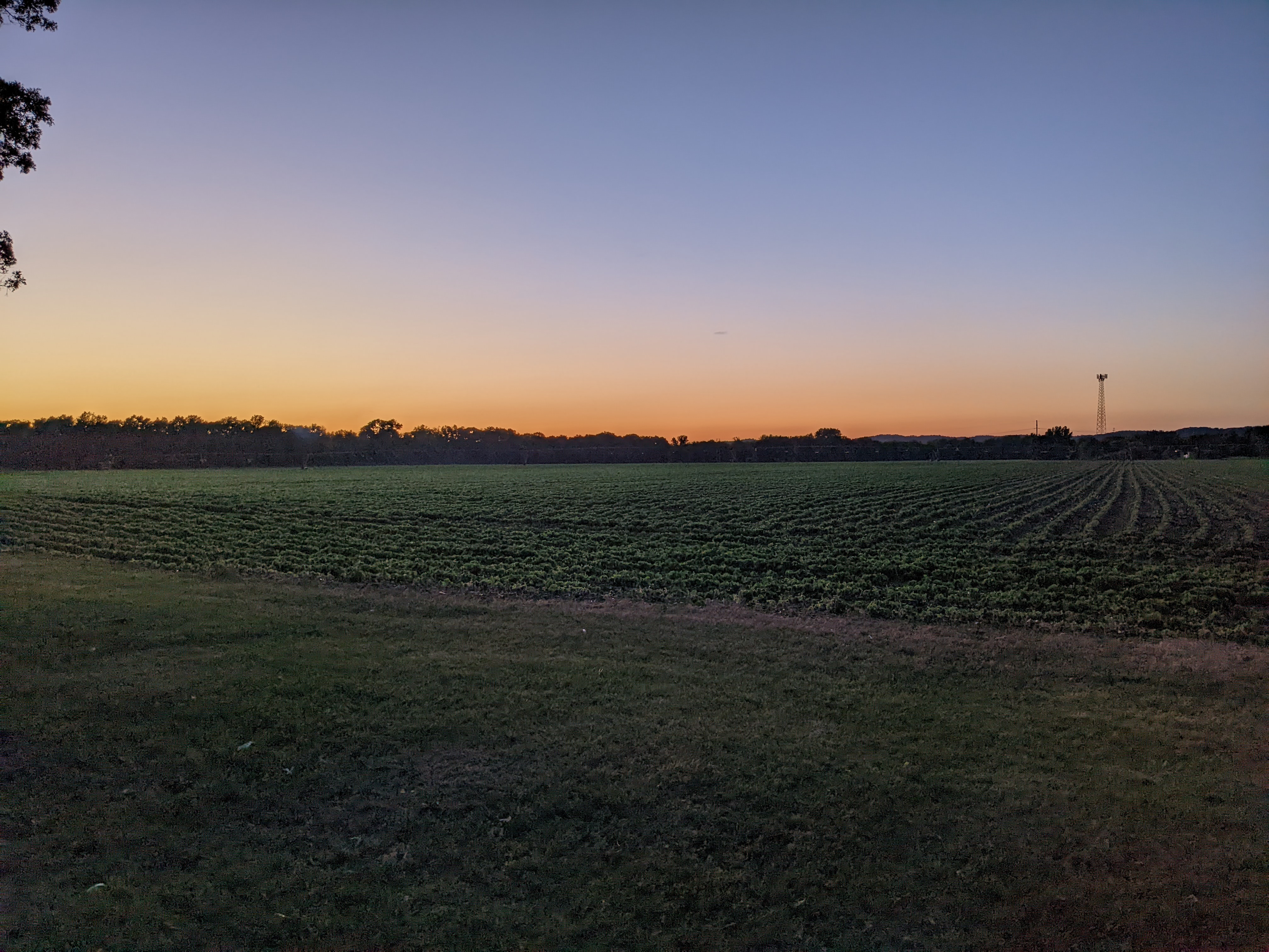PXL_20220617_021015241.NIGHT.jpg